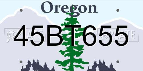 45BT655 Oregon License Plate
