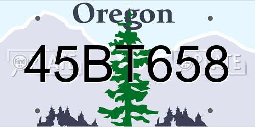 45BT658 Oregon License Plate