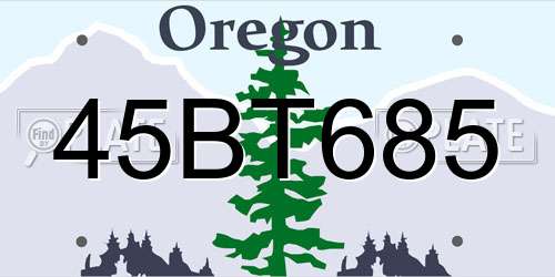 45BT685 Oregon License Plate
