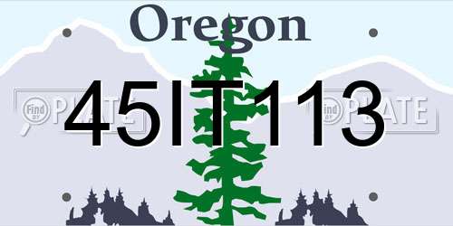 45IT113 Oregon License Plate