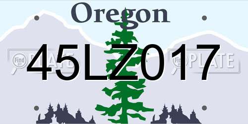 45LZ017 Oregon License Plate