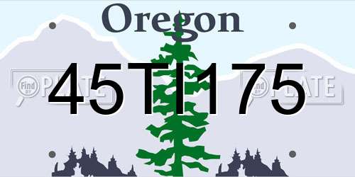 45TI175 Oregon License Plate