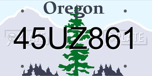 45UZ861 Oregon License Plate