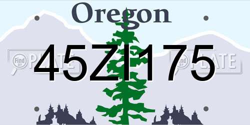 45ZI175 Oregon License Plate