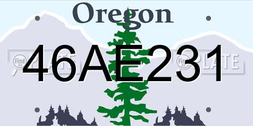 46AE231 Oregon License Plate