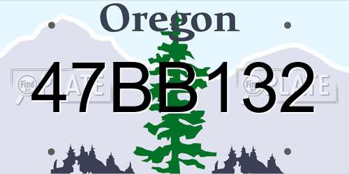 47BB132 Oregon License Plate