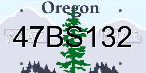 47BS132 Oregon License Plate