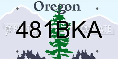 481BKA Oregon License Plate