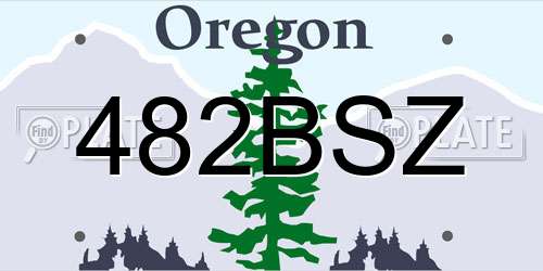 482BSZ Oregon License Plate