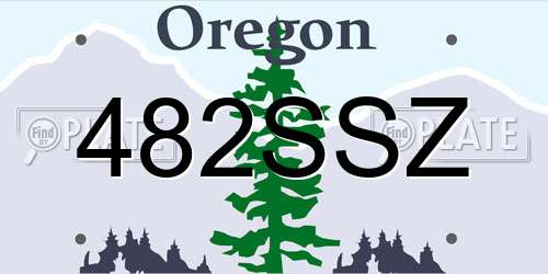 482SSZ Oregon License Plate