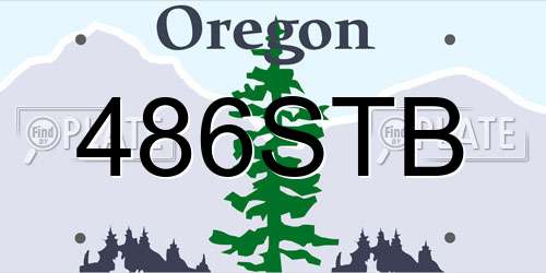 486STB Oregon License Plate