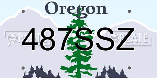 487SSZ Oregon License Plate
