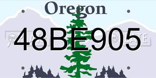 48BE905 Oregon License Plate