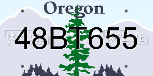 48BT655 Oregon License Plate