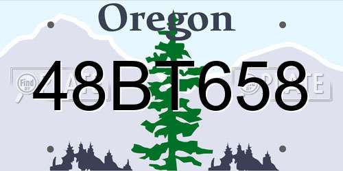 48BT658 Oregon License Plate