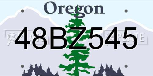 48BZ545 Oregon License Plate