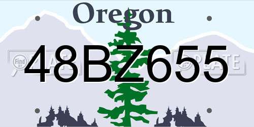 48BZ655 Oregon License Plate