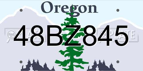 48BZ845 Oregon License Plate