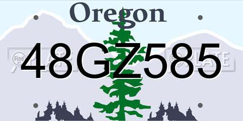 48GZ585 Oregon License Plate
