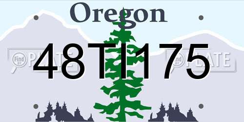 48TI175 Oregon License Plate
