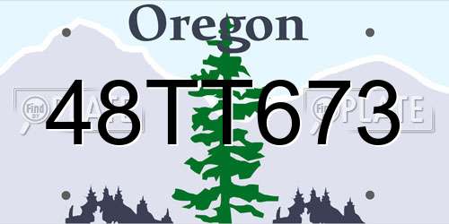48TT673 Oregon License Plate