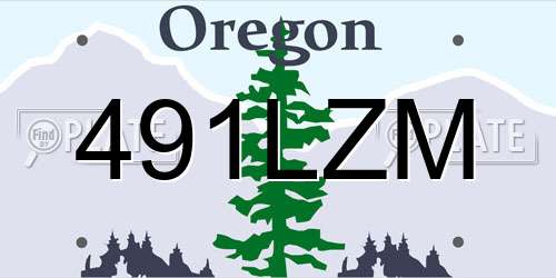 491LZM Oregon License Plate