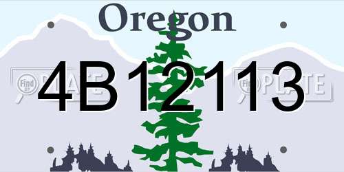 4B12113 Oregon License Plate
