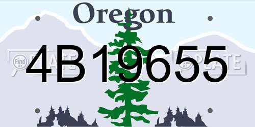4B19655 Oregon License Plate