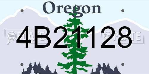 4B21128 Oregon License Plate