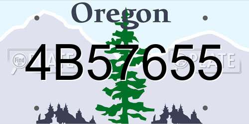 4B57655 Oregon License Plate