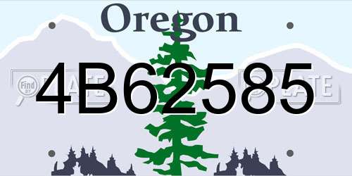 4B62585 Oregon License Plate