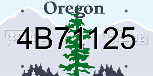 4B71125 Oregon License Plate