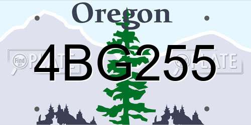4BG255 Oregon License Plate