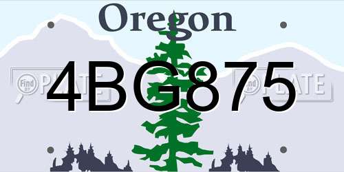 4BG875 Oregon License Plate