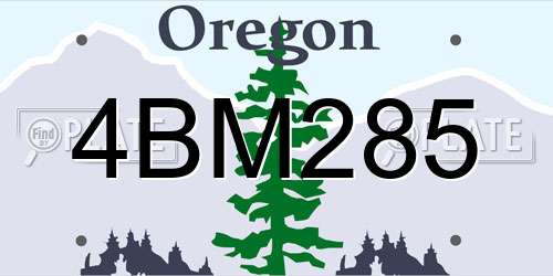 4BM285 Oregon License Plate