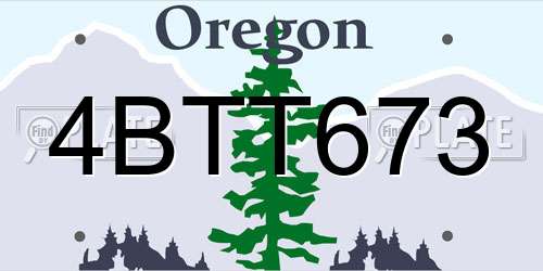 4BTT673 Oregon License Plate
