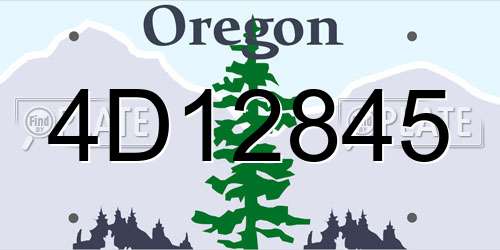 4D12845 Oregon License Plate