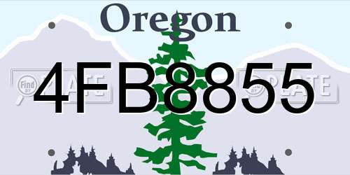4FB8855 Oregon License Plate