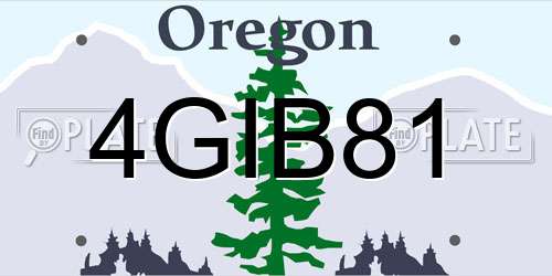 4GIB81 Oregon License Plate