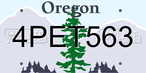 4PET563 Oregon License Plate