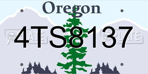 4TS8137 Oregon License Plate