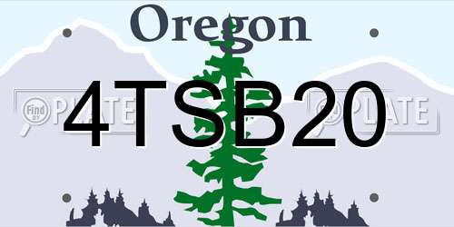 4TSB20 Oregon License Plate