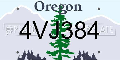 4VJ384 Oregon License Plate