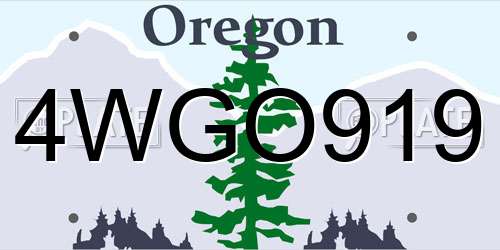 4WGO919 Oregon License Plate