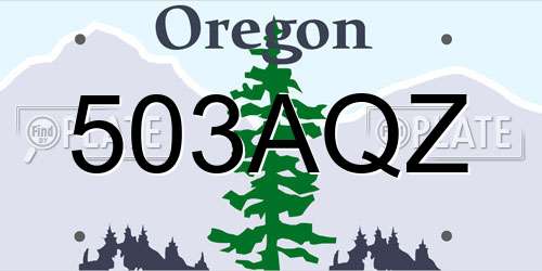 503AQZ Oregon License Plate