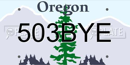 503BYE Oregon License Plate