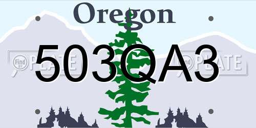 503QA3 Oregon License Plate