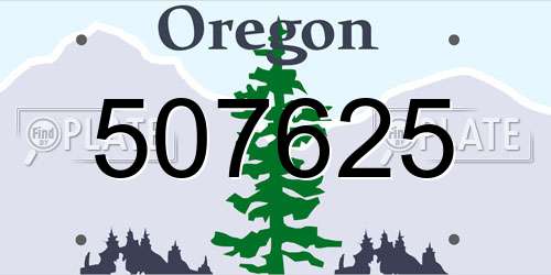 507625 Oregon License Plate