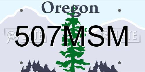 507MSM Oregon License Plate