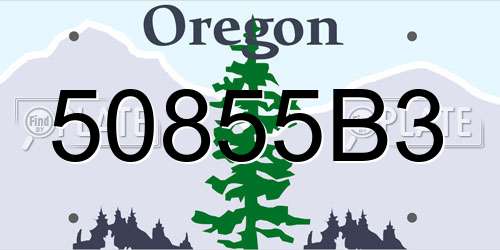 50855B3 Oregon License Plate